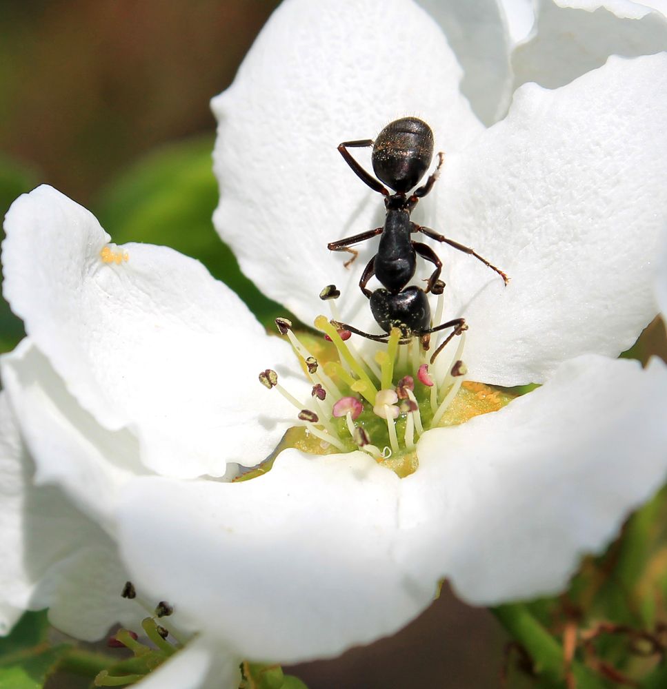 Photograph by Юлия