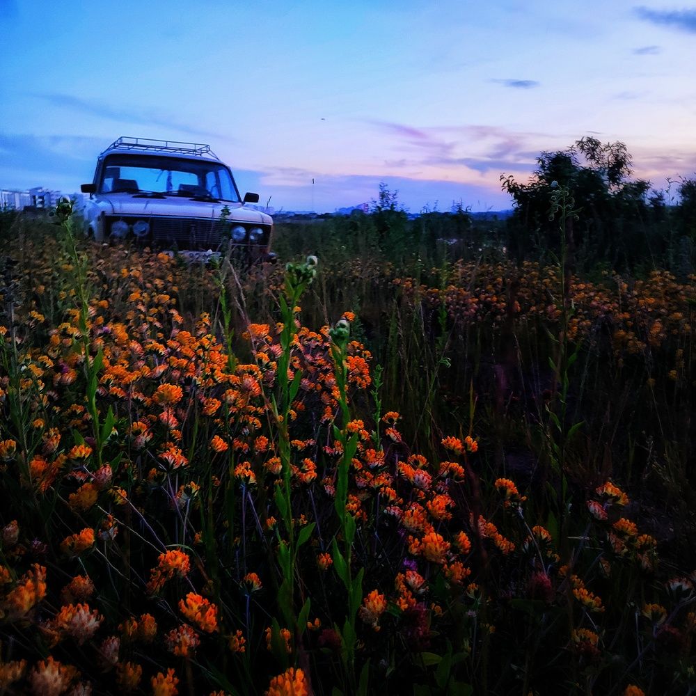 Photograph by Сергей Симаков