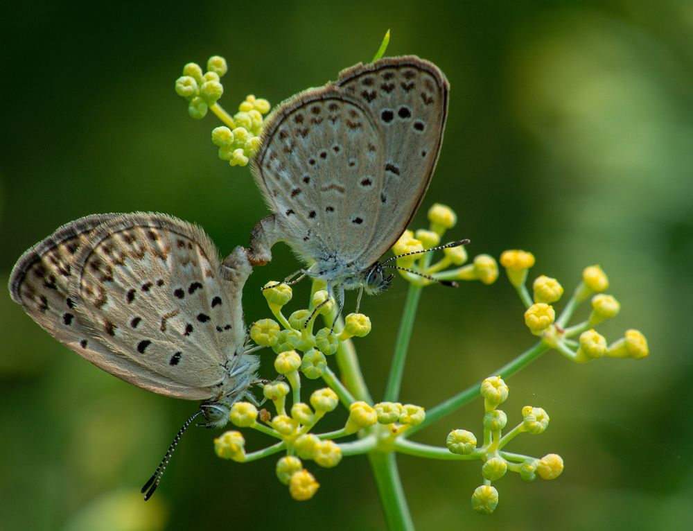 Photograph by Talha Maqsood