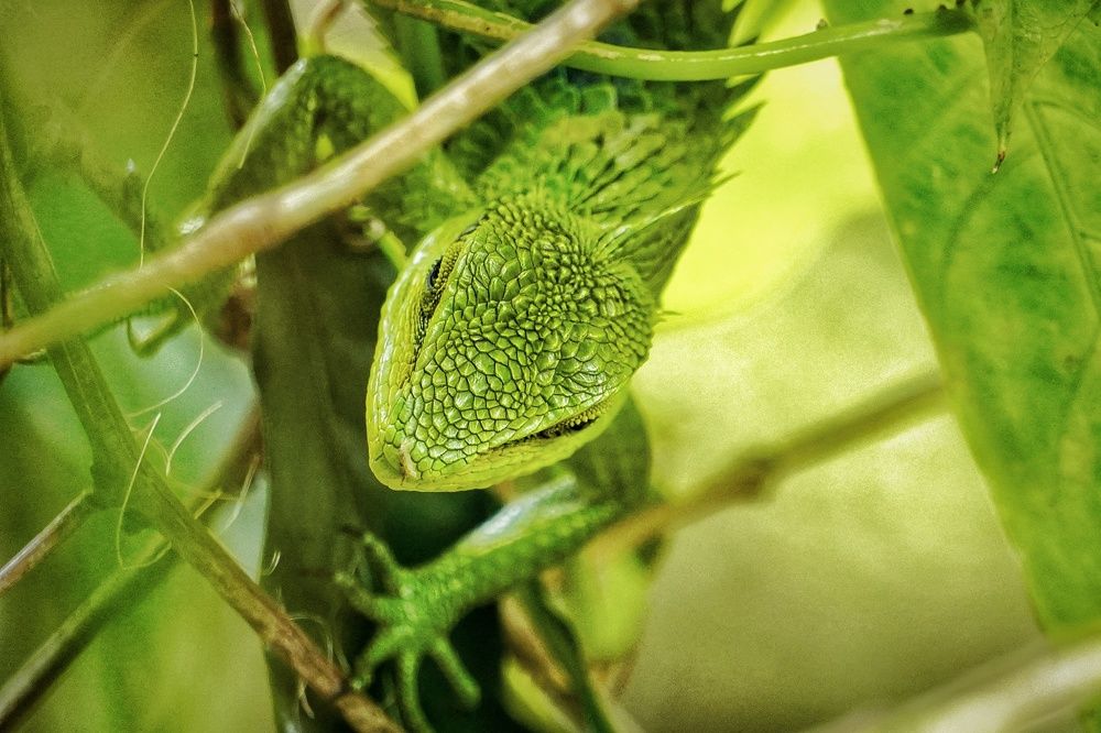 Photograph by Vetrivel Nagaraj