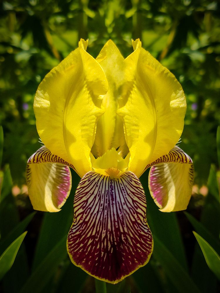 Photograph by Andrey Purtov