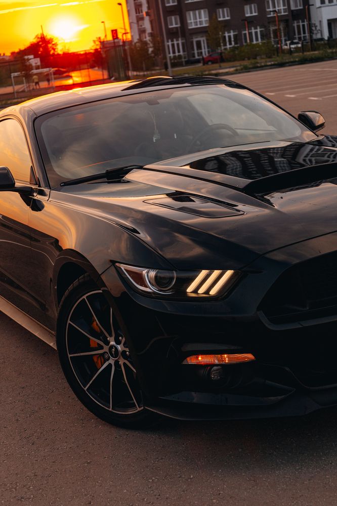 Photograph by Марина Скворцова