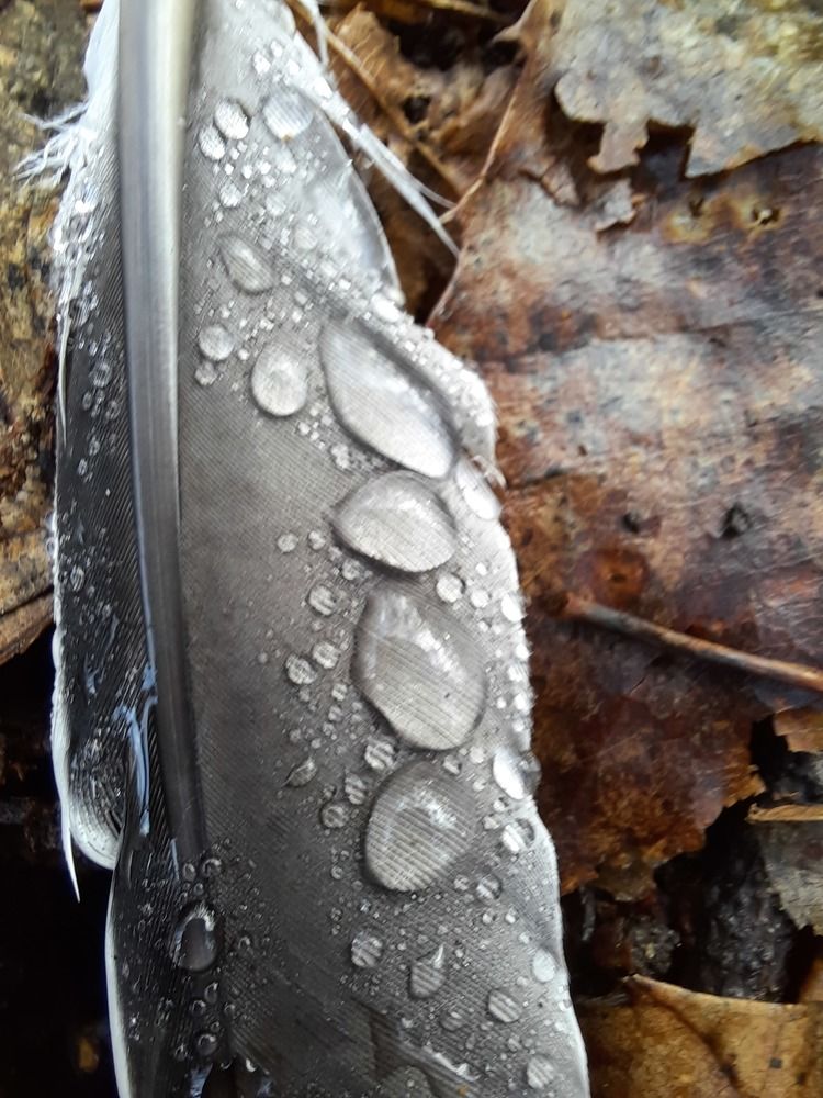 Photograph by Sonia Crotta