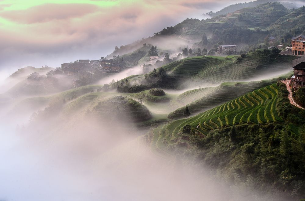 Photograph by Carlo Demicheli