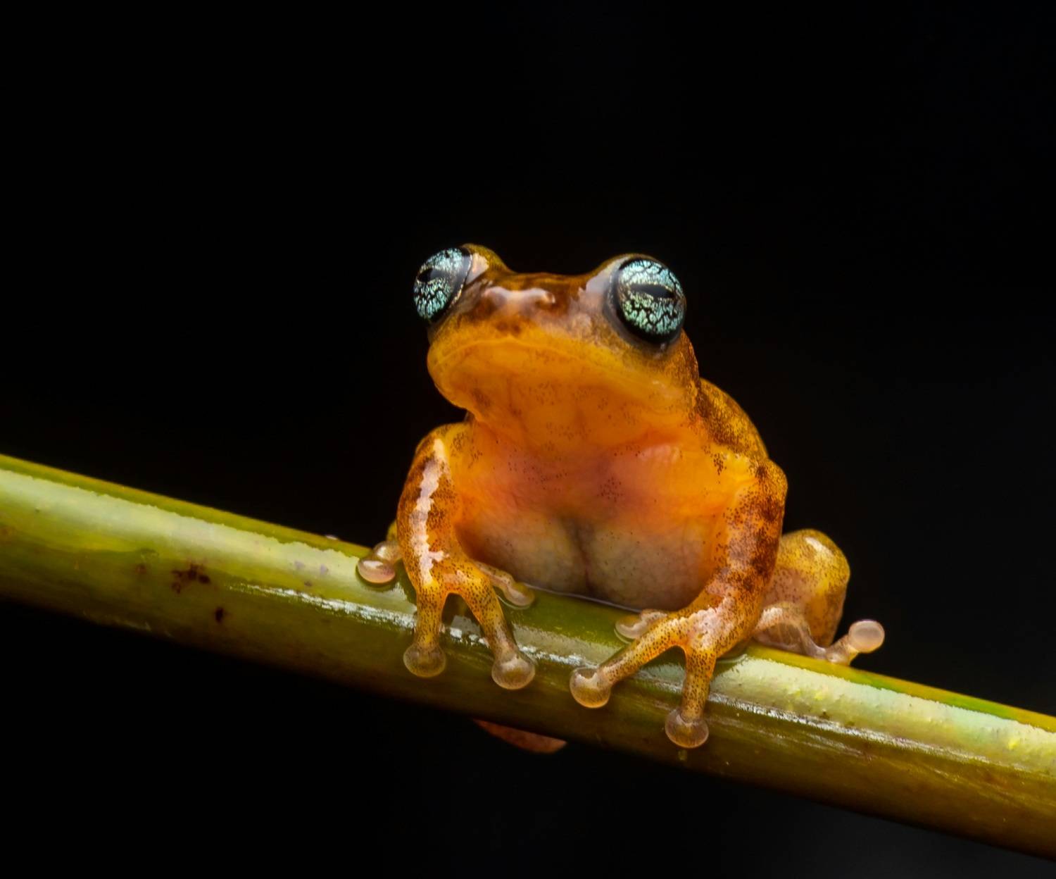 Фотография #9227414