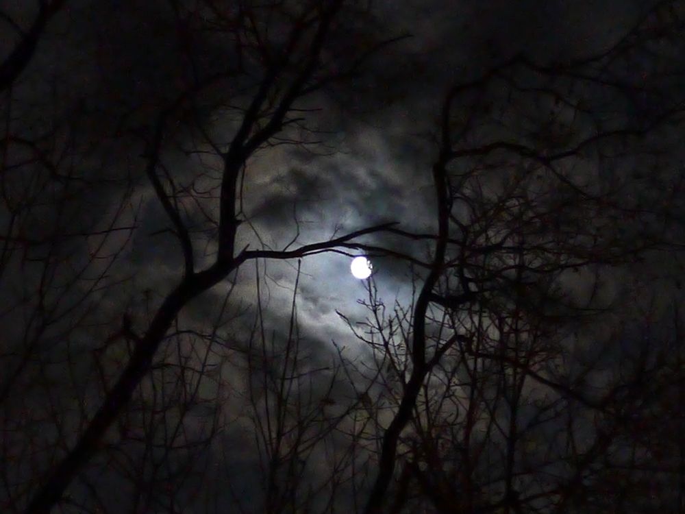 Photograph by Наталья Копьева