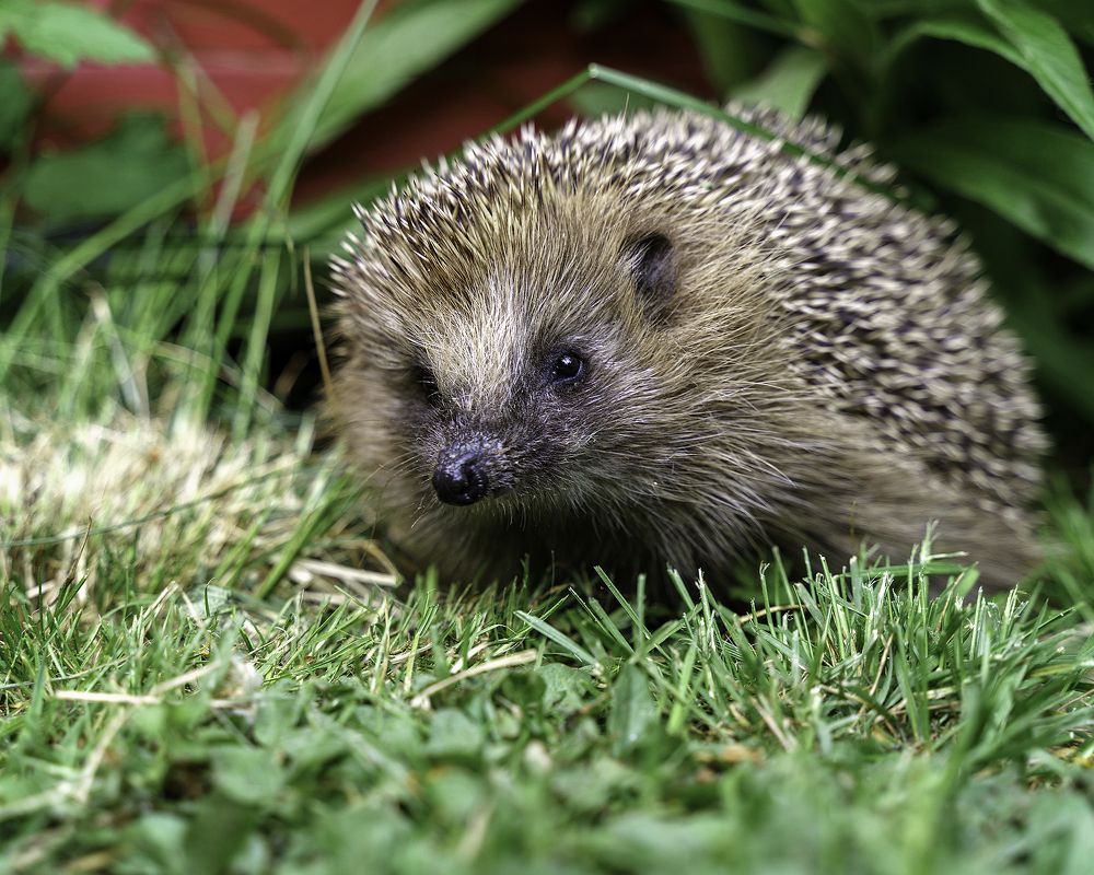 Photograph by Anna Sindikayeva