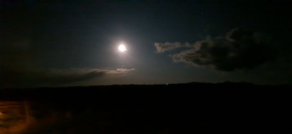 Photograph by Светлана Цапина