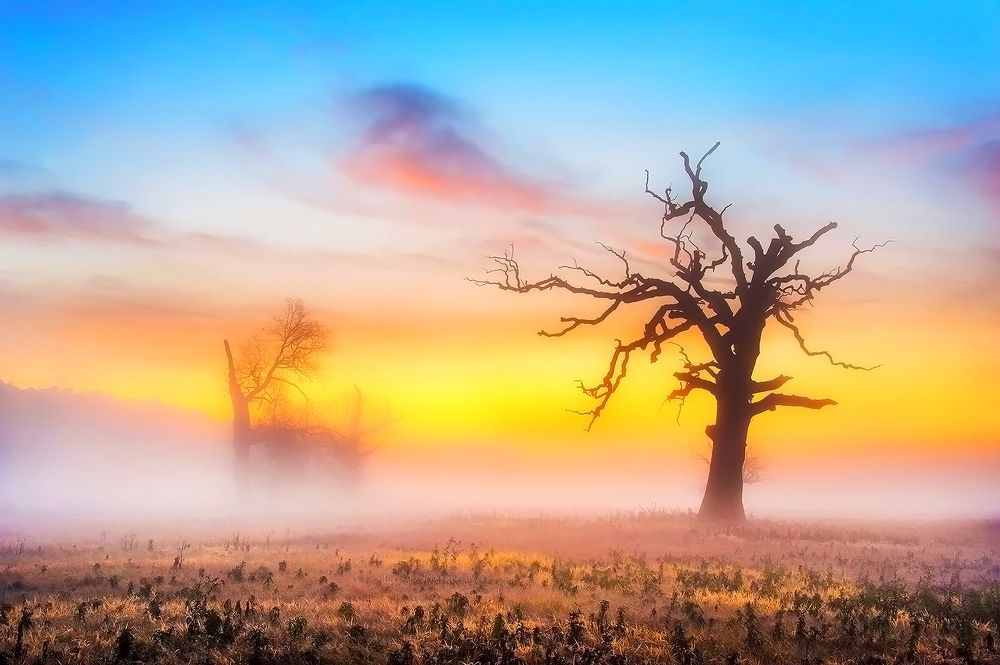 Photograph by Marian Skąpski