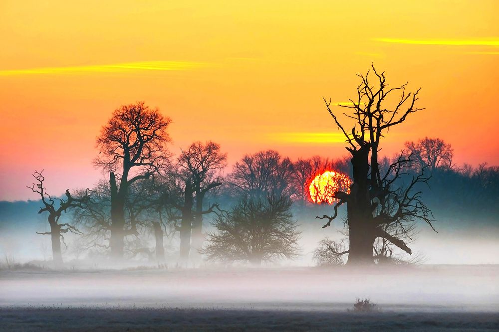 Photograph by Marian Skąpski