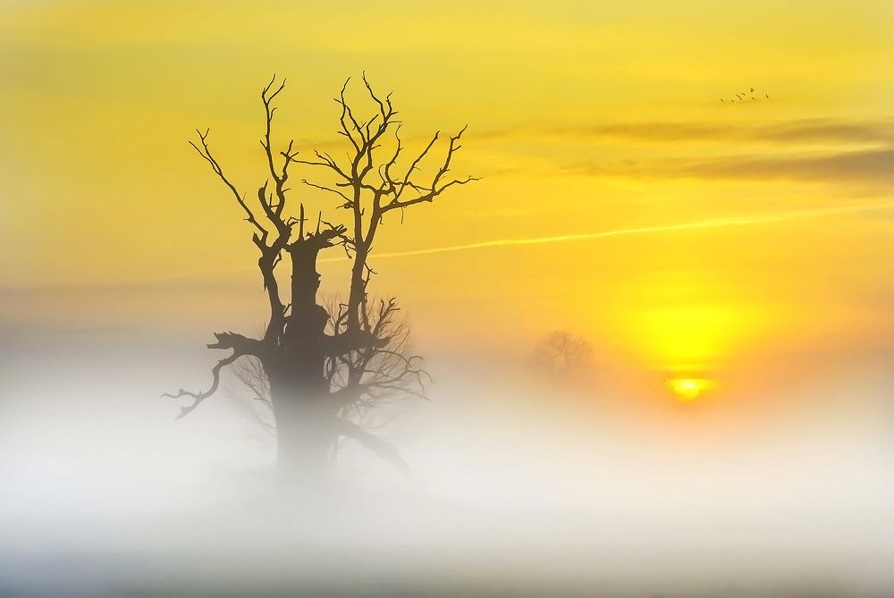 Photograph by Marian Skąpski