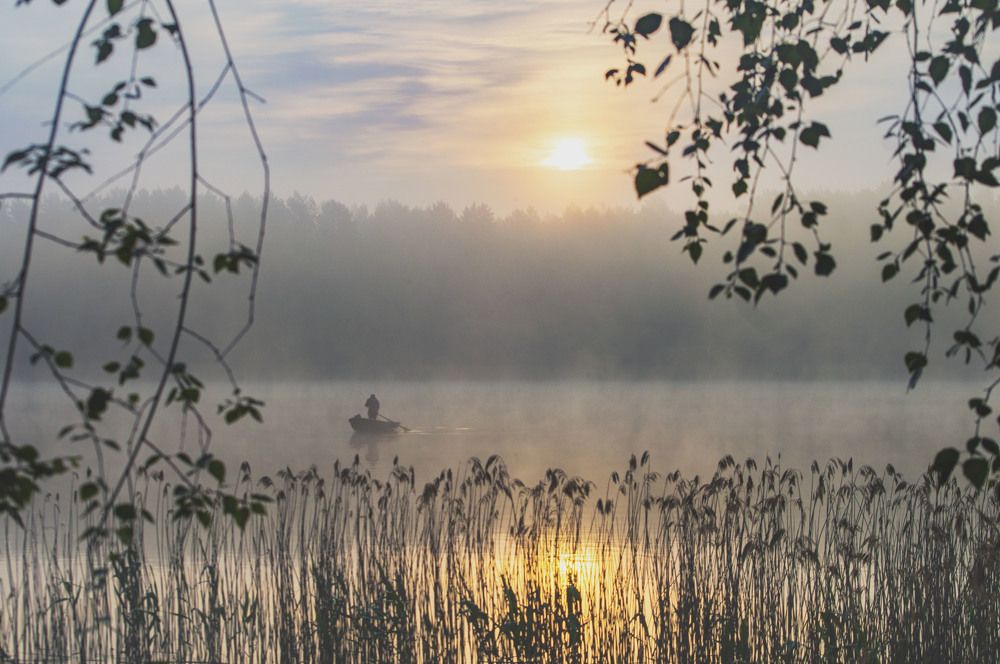 Photograph by Елена Кошелева