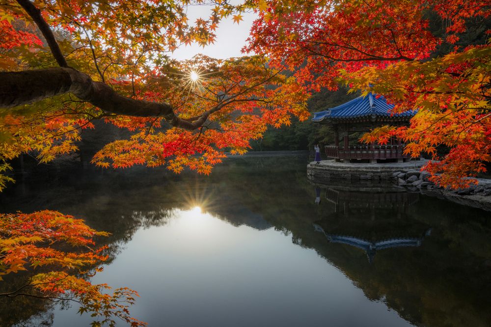 Фотография автора Tôi Là Núi