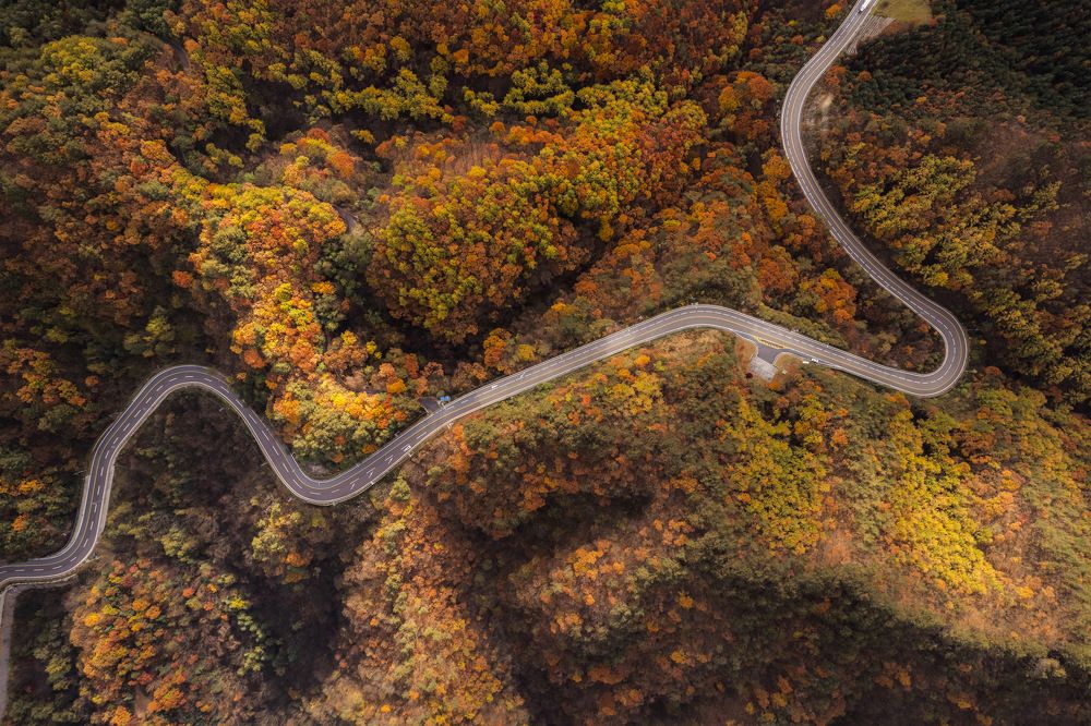 Фотография автора Tôi Là Núi