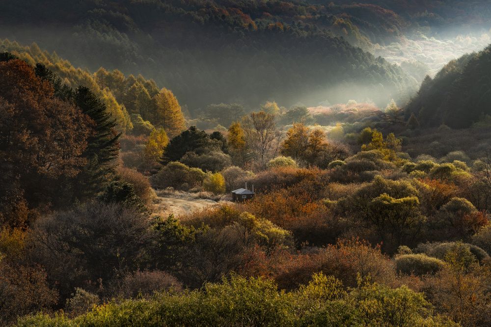 Фотография автора Tôi Là Núi