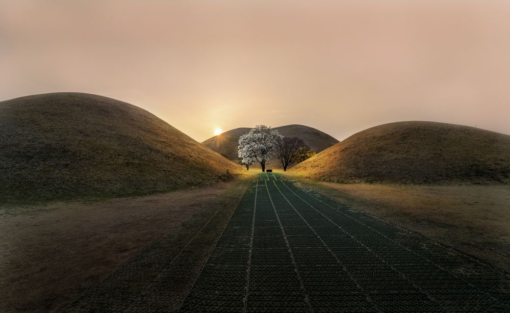 Фотография автора Tôi Là Núi