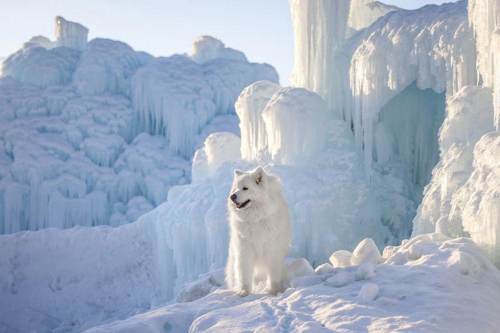 Photograph by Татьяна Тихомирова