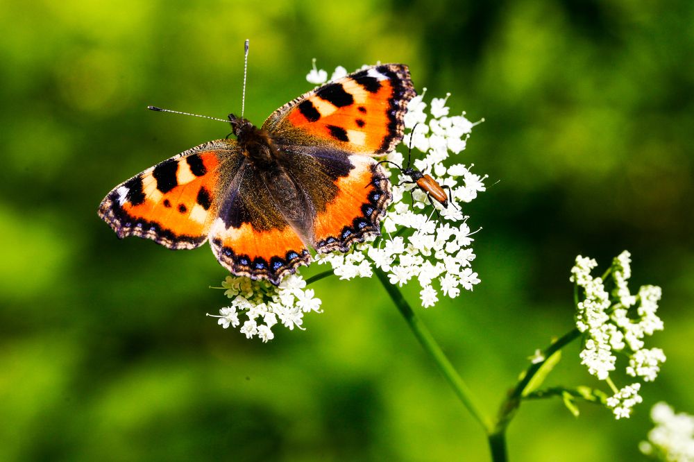 Photograph by Александр Ермаченко