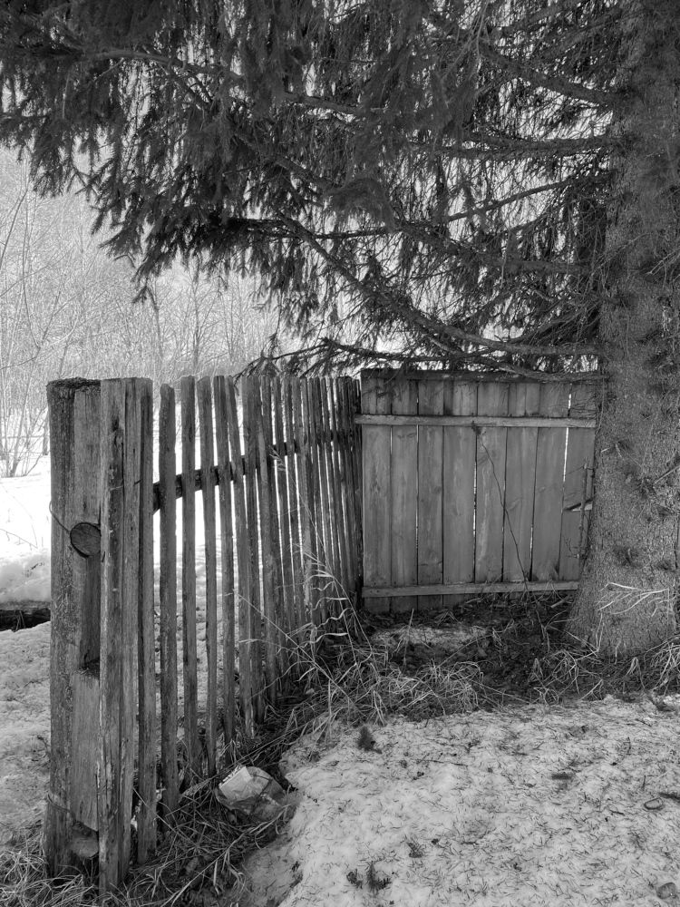 Photograph by Марина