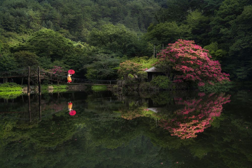 Фотография автора Tôi Là Núi