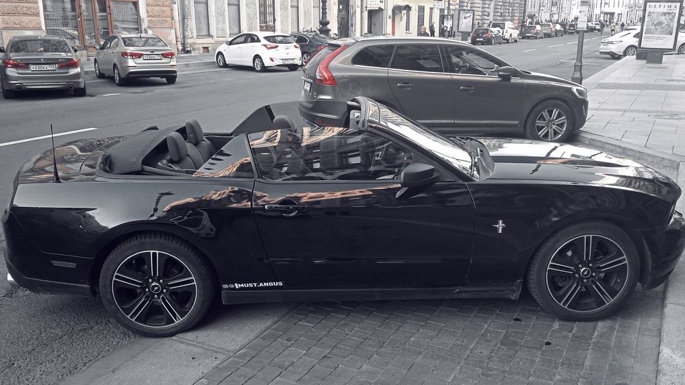 Мустанг в Петербурге