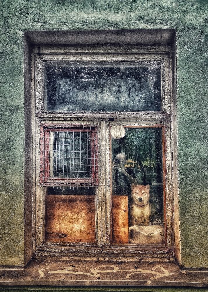 "Reflections on freedom"