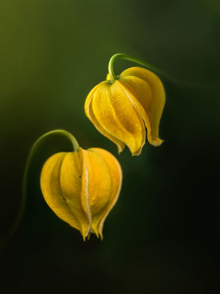 Photograph by Алексей Горин