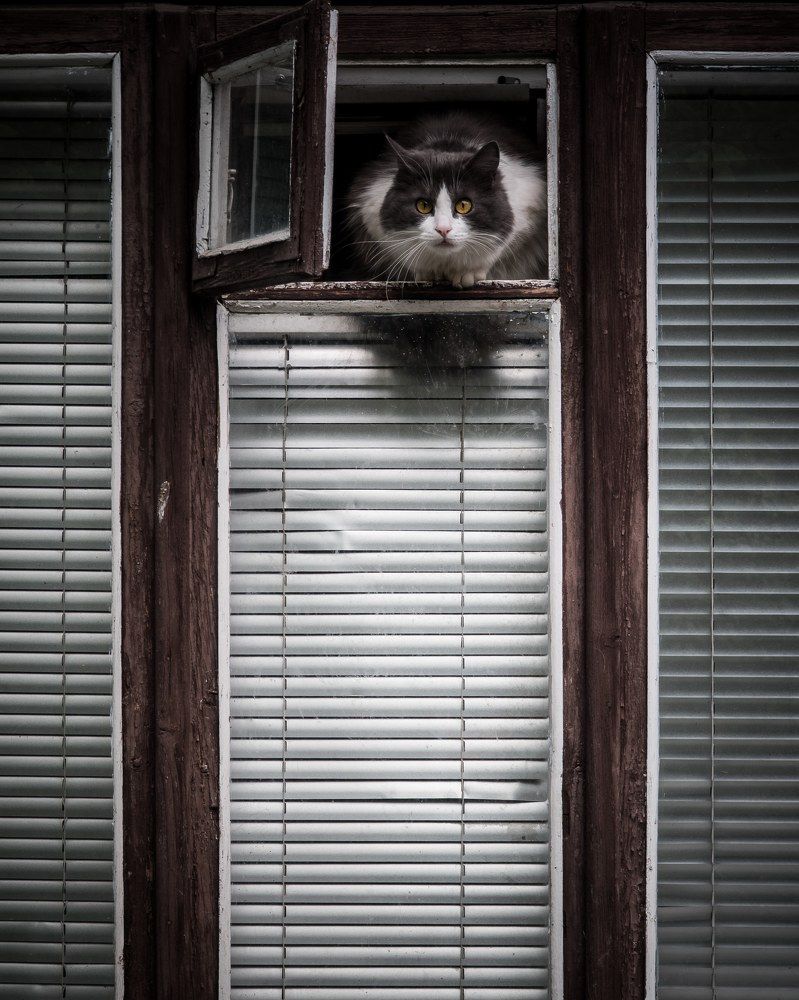 Я слежу за тобой.