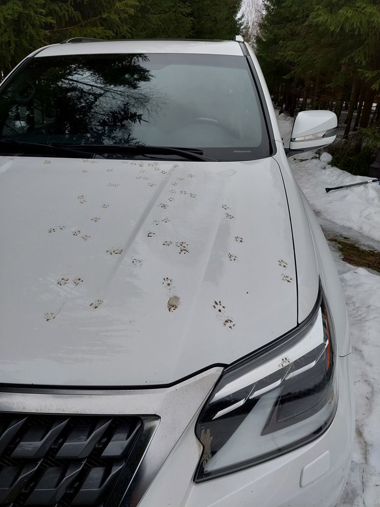 Photograph by Елена Тимченко