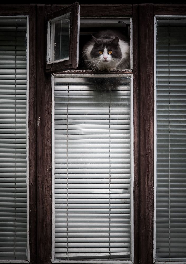 Я тебя вижу)