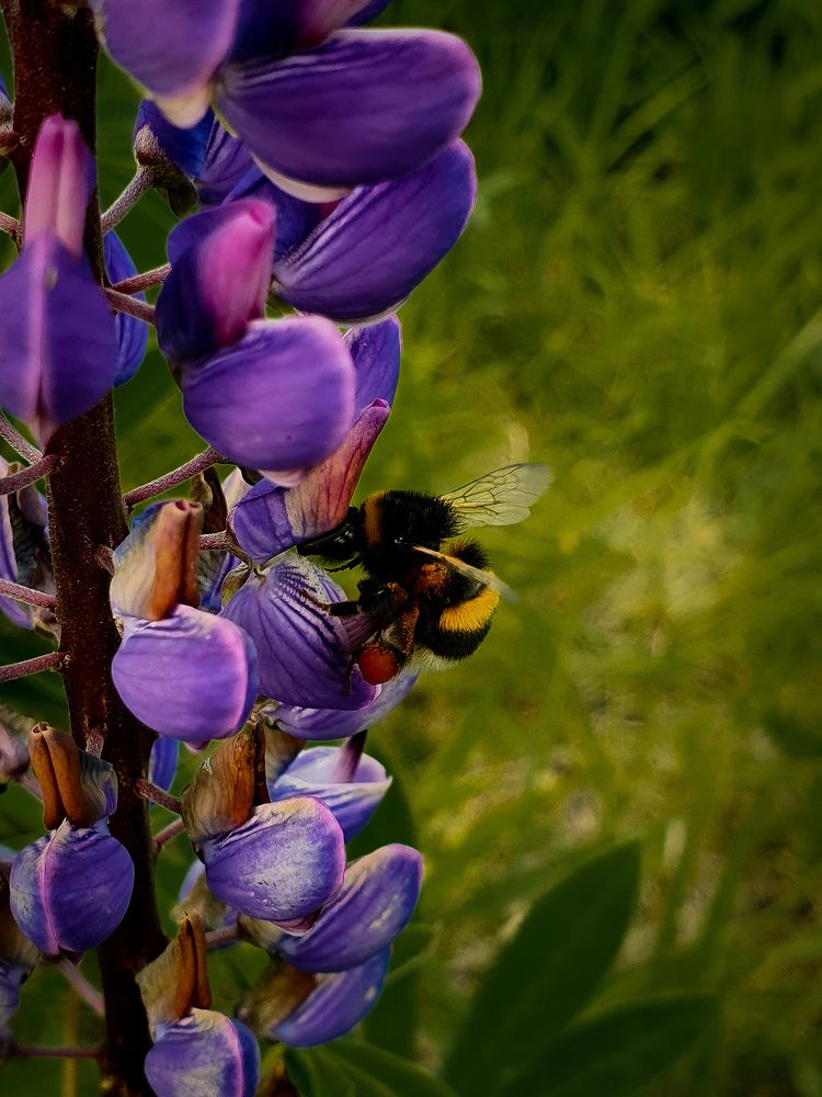 Photograph by Дарья