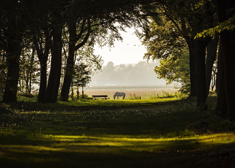 Photograph by Igor Isachenkov