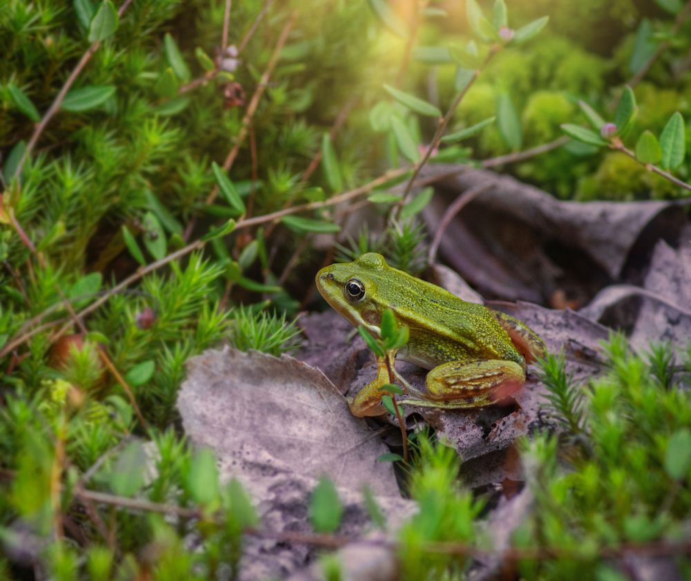 Photograph by Овсенёв Александр