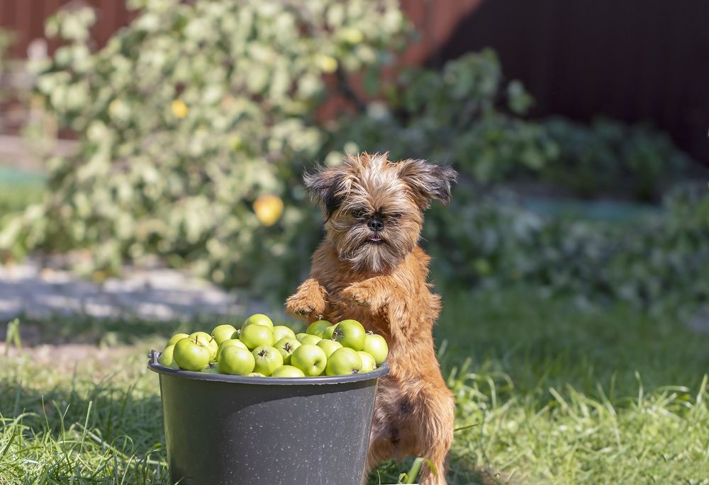 Photograph by Evgeniia Iakimenko