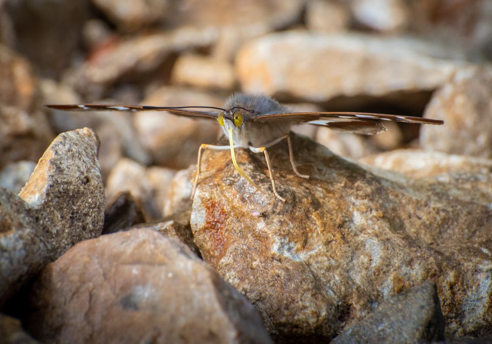 Photograph by Овсенёв Александр