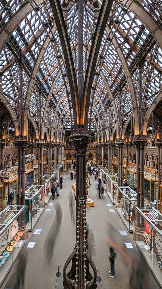 Photograph by Sai udeep sagar Yadalla