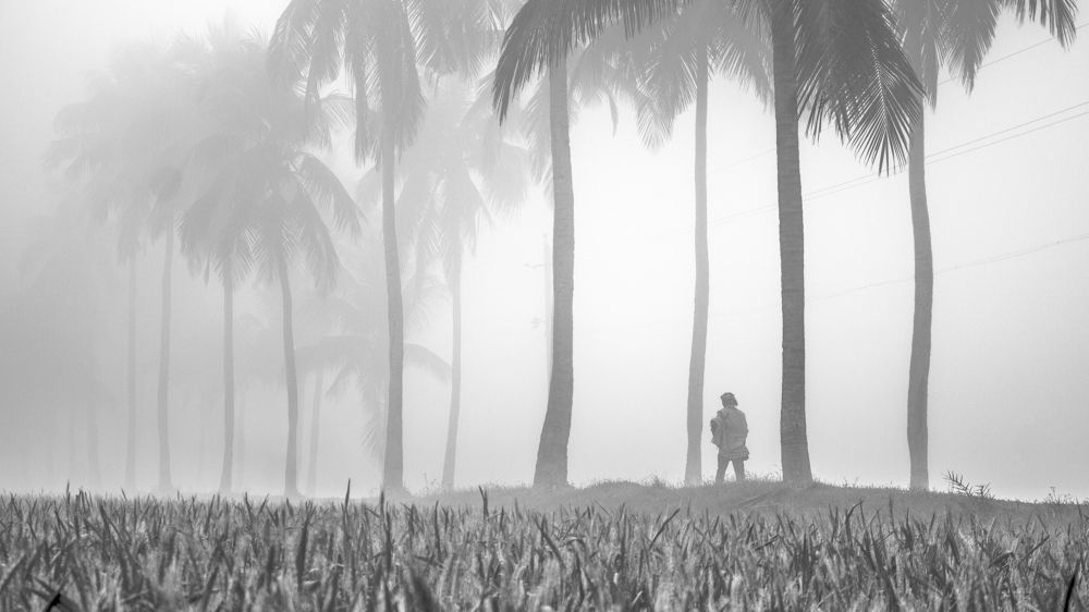 Photograph by MD. Imon