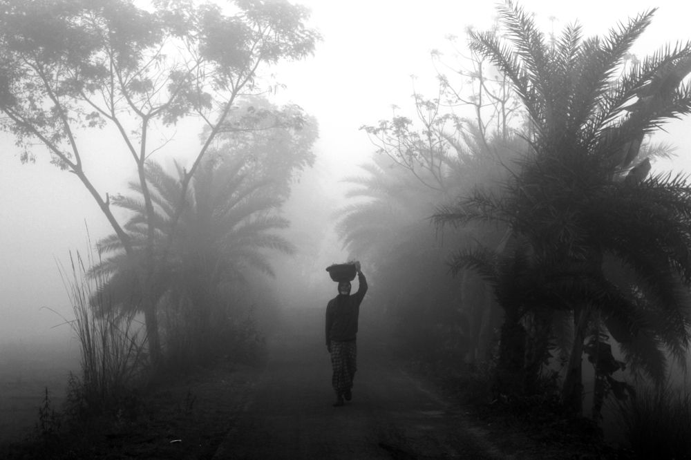 Photograph by MD. Imon