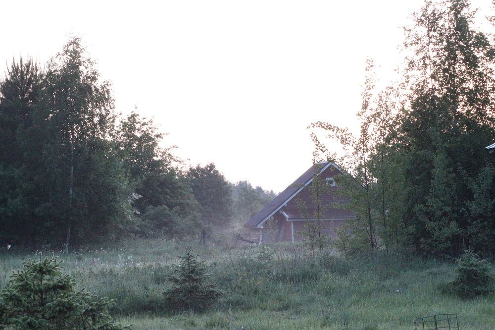 Photograph by Максим Егоров