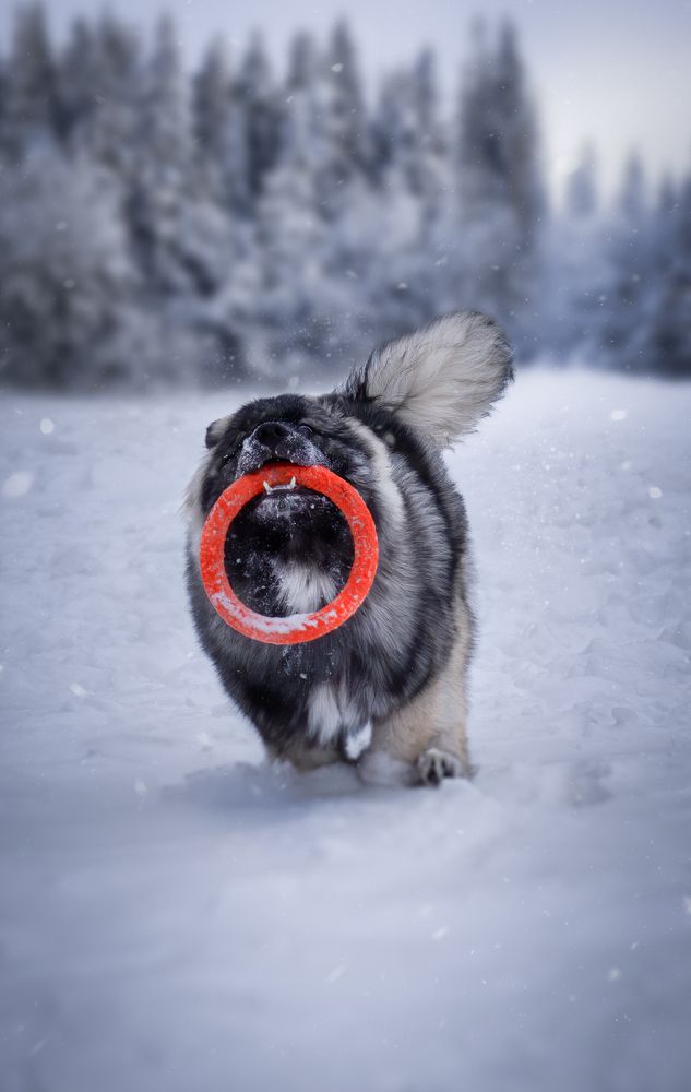 Photograph by Валерия Васина