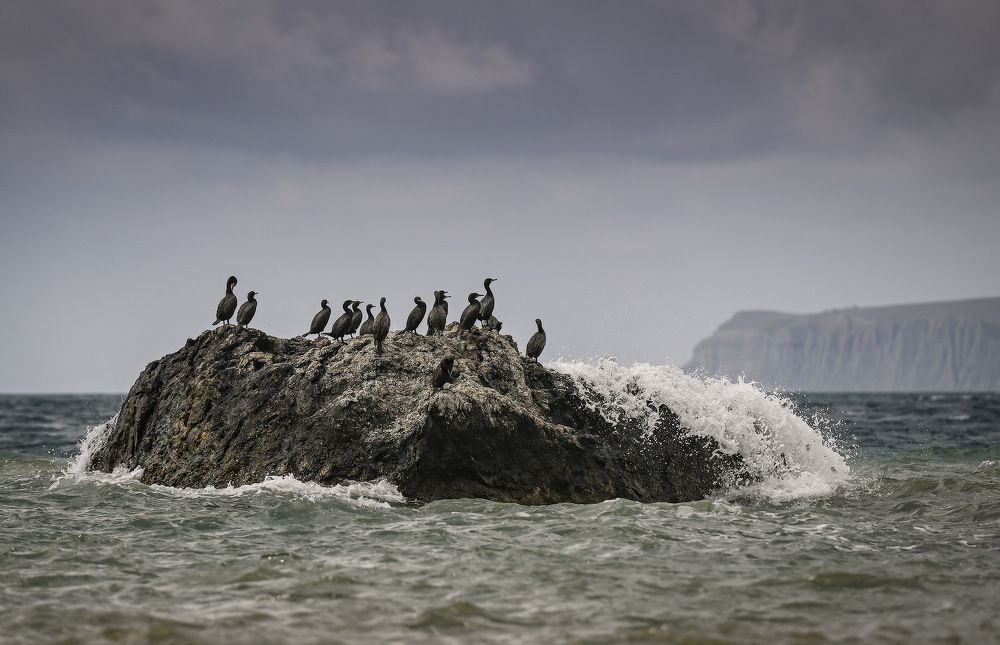 Photograph by Пирог Борис