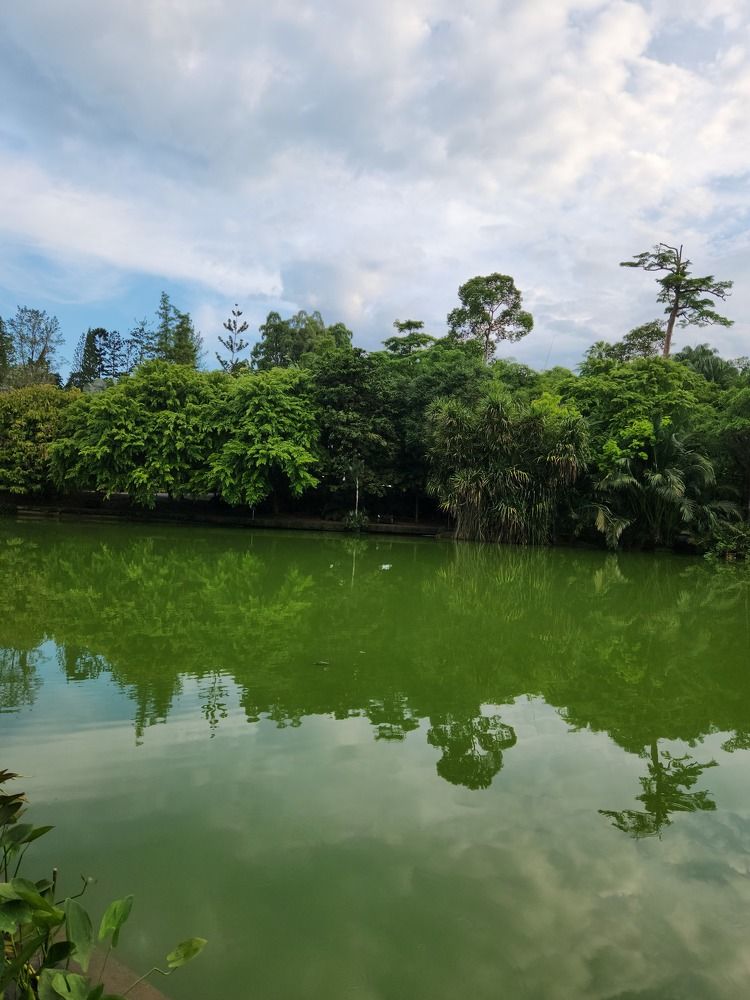 Фотография автора Hepzibah Guna Sakaran