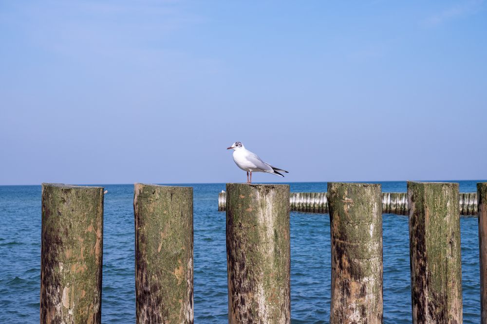 Photograph by Elvira Magsumova