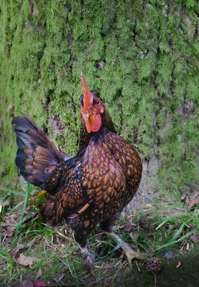 Photograph by Алекскандр Фатеев