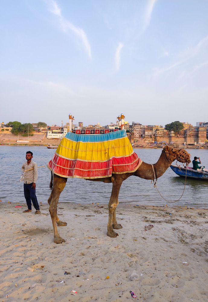 Photograph by SUMAN PATRA