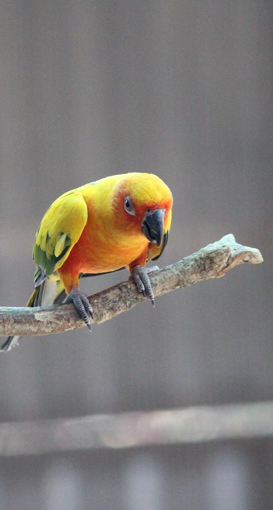 Photograph by Praveen kumar Sampath