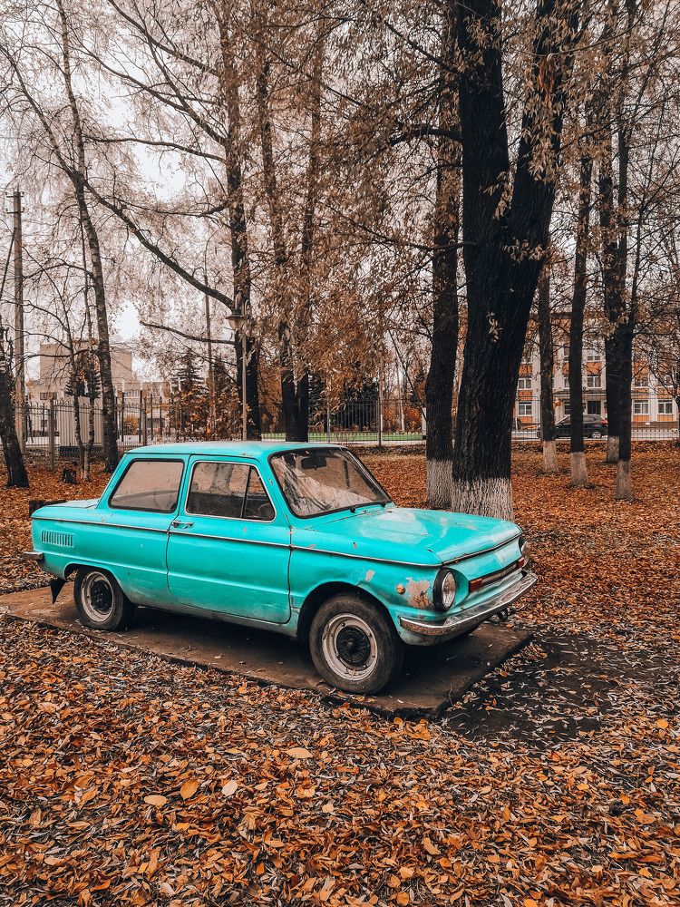 Photograph by Екатерина