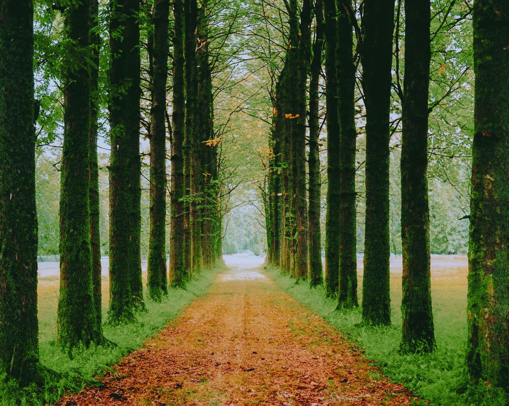 Photograph by Федотова Анна