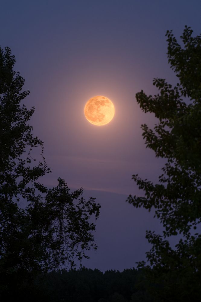 Photograph by Dejan Zakic