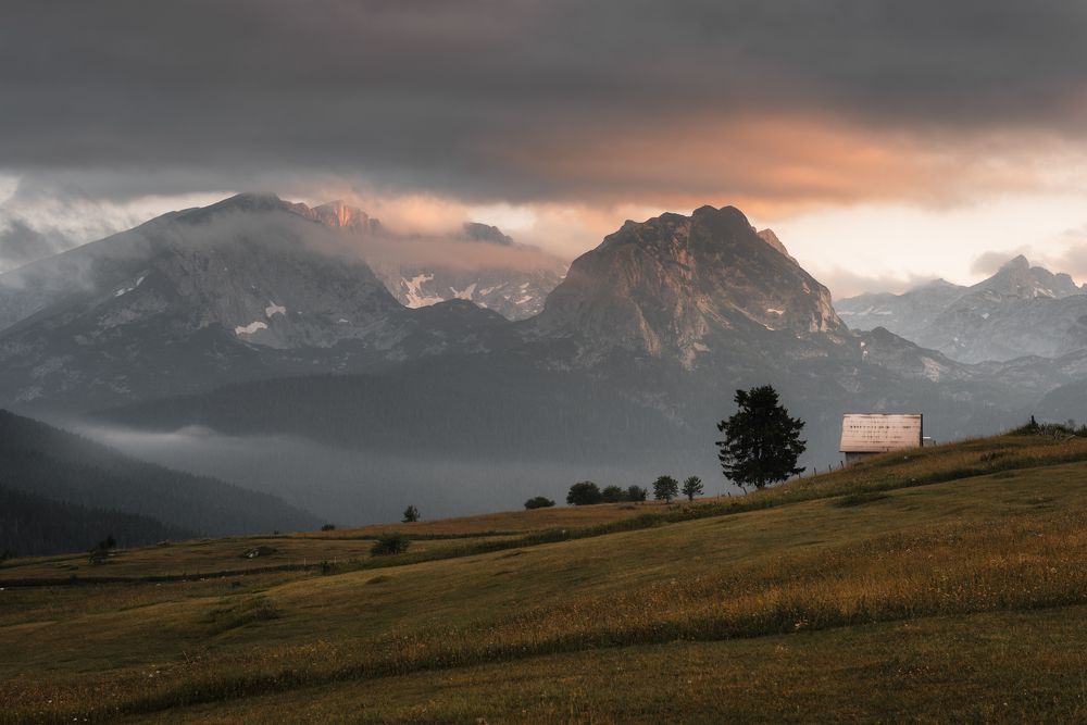 Photograph by Dejan Zakic